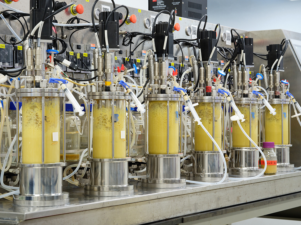 Using the same technology that the pharmaceutical industry employs to fight disease, Debut explores and activates specific areas of skin biology, both new and familiar, to discover improved cellular responses for enhanced clinical claims.